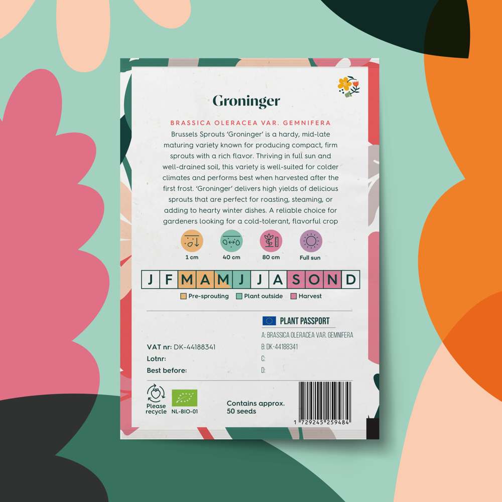 Rosenkål 'Groninger' (ØKO frø)